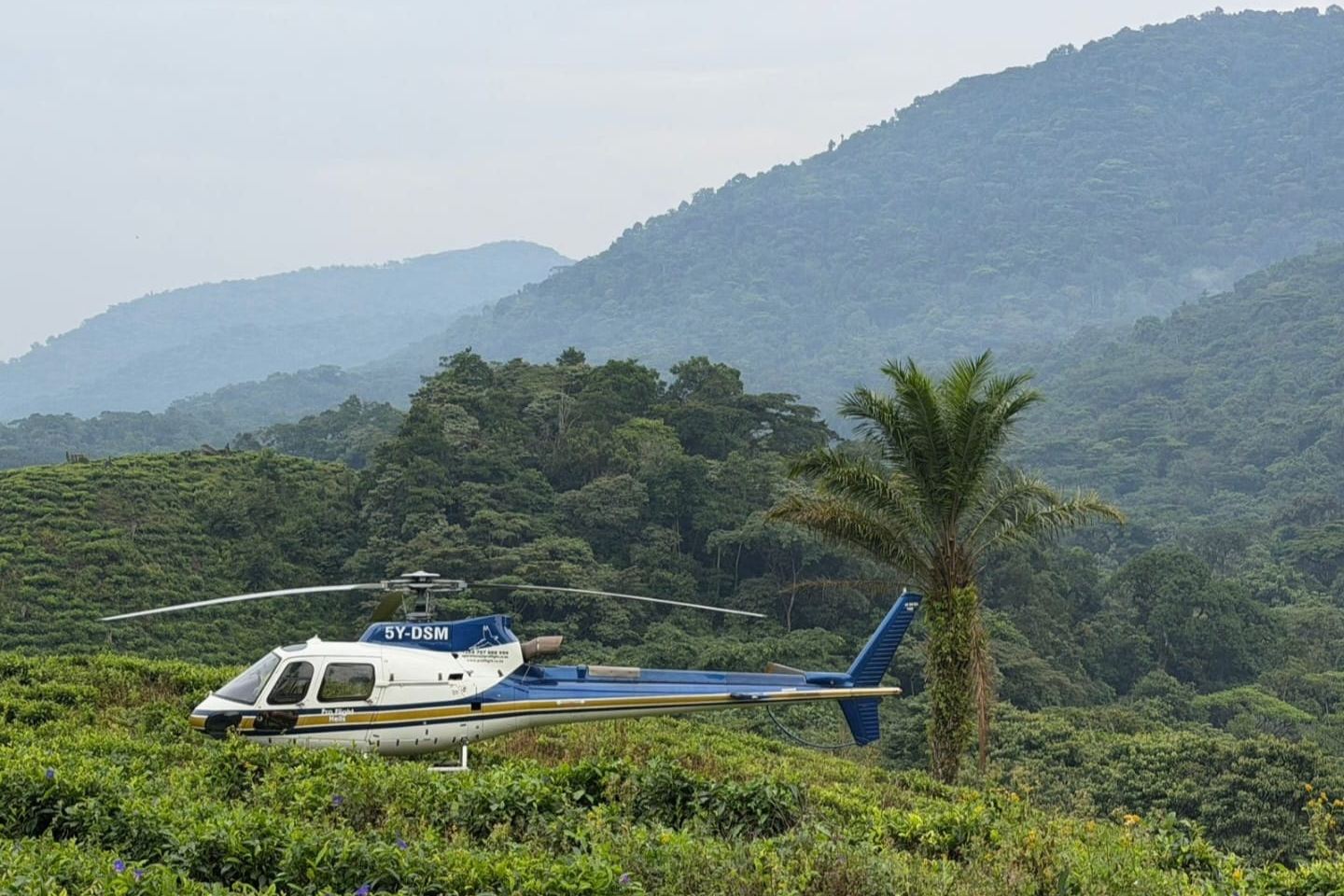 Private charter flights to Kigali, Rwanda