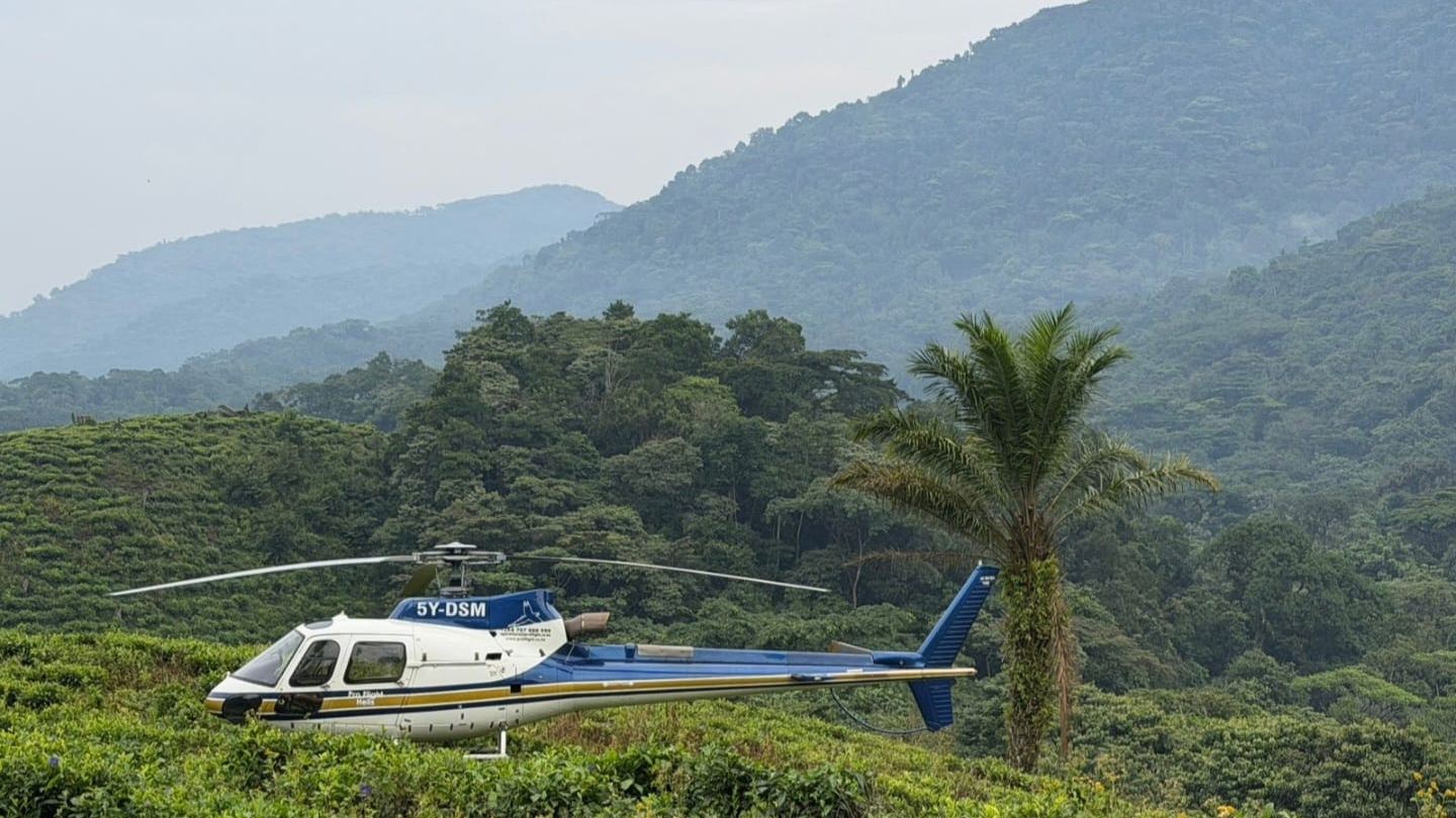Luxury & Private Safaris — Lari Lush charter service